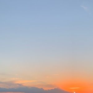 Meet your Posher, Frannie